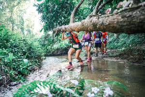 BIB: 
                            <button type="button" onclick="openModal(25462280)" class="btn btn-primary btn-sm float-right btn-popup" data-toggle="modal" data-target=".modal-high-quality">
                        <i class="fas fa-shopping-cart"></i> Add to Cart
                    </button>
                                            <button type="button" onclick="isThisMe(25462280, true)" class="btn btn-success btn-sm float-right btn-popup btn-isme hidden" data-toggle="tooltip" data-placement="bottom" title="นี่คือรูปของคุณใช่ไหม คลิกที่นี่เพื่อเอาเข้าอัลบั้ม">
                        <i class="fas fa-plus"></i> Add to album
                    </button>
                    <button type="button" onclick="isThisMe(25462280, false)" class="btn btn-warning btn-sm float-right btn-popup btn-isnotme hidden">
                        <i class="fas fa-ban"></i> Remove from album
                    </button>